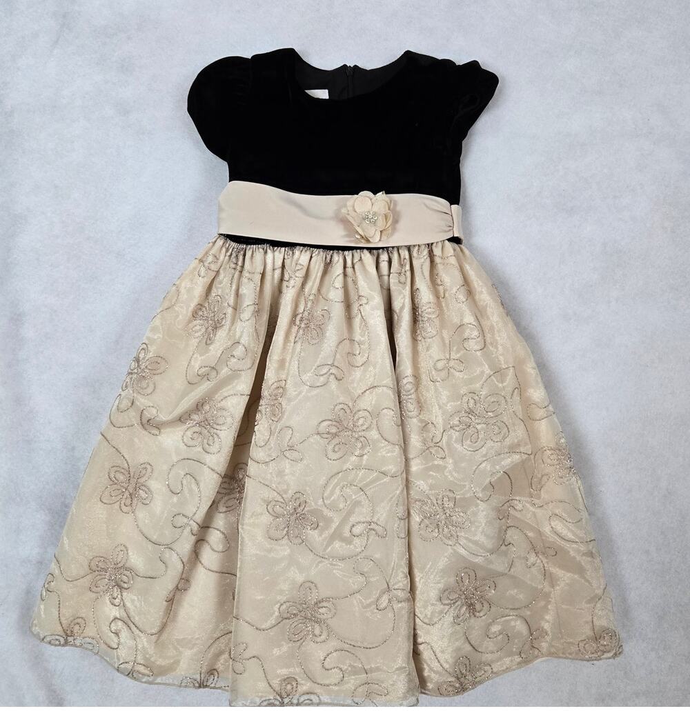 Cinderella Brand Girl's Formal Party Dress, Champagne and Black, Size 5 READ